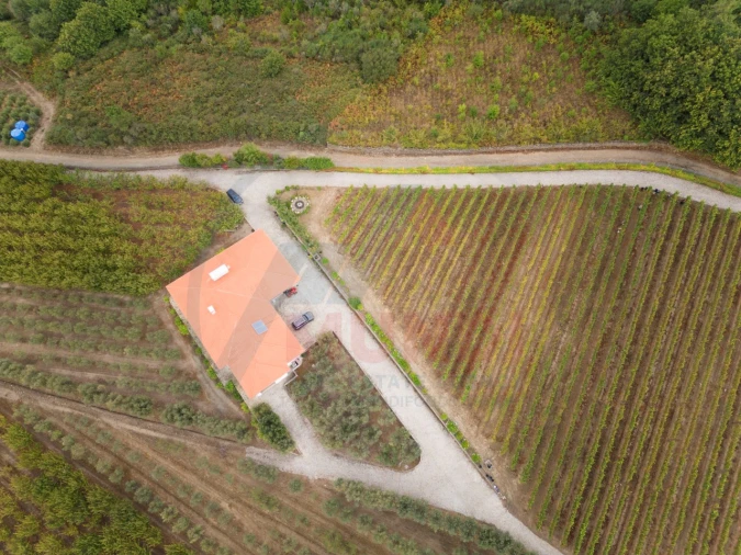 Quinta T6 para Venda em Penajoia Foto 36