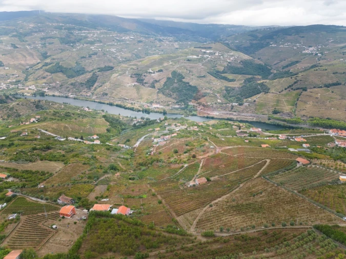 Quinta T6 para Venda em Penajoia Foto 38