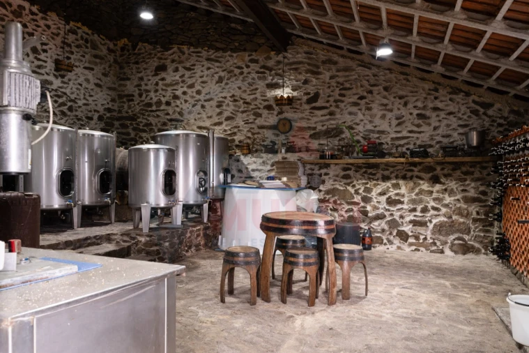 Quinta T6 para Venda em Penajoia Foto 41