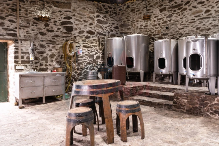 Quinta T6 para Venda em Penajoia Foto 42