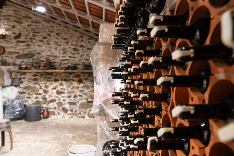 Quinta T6 para Venda em Penajoia Foto 43