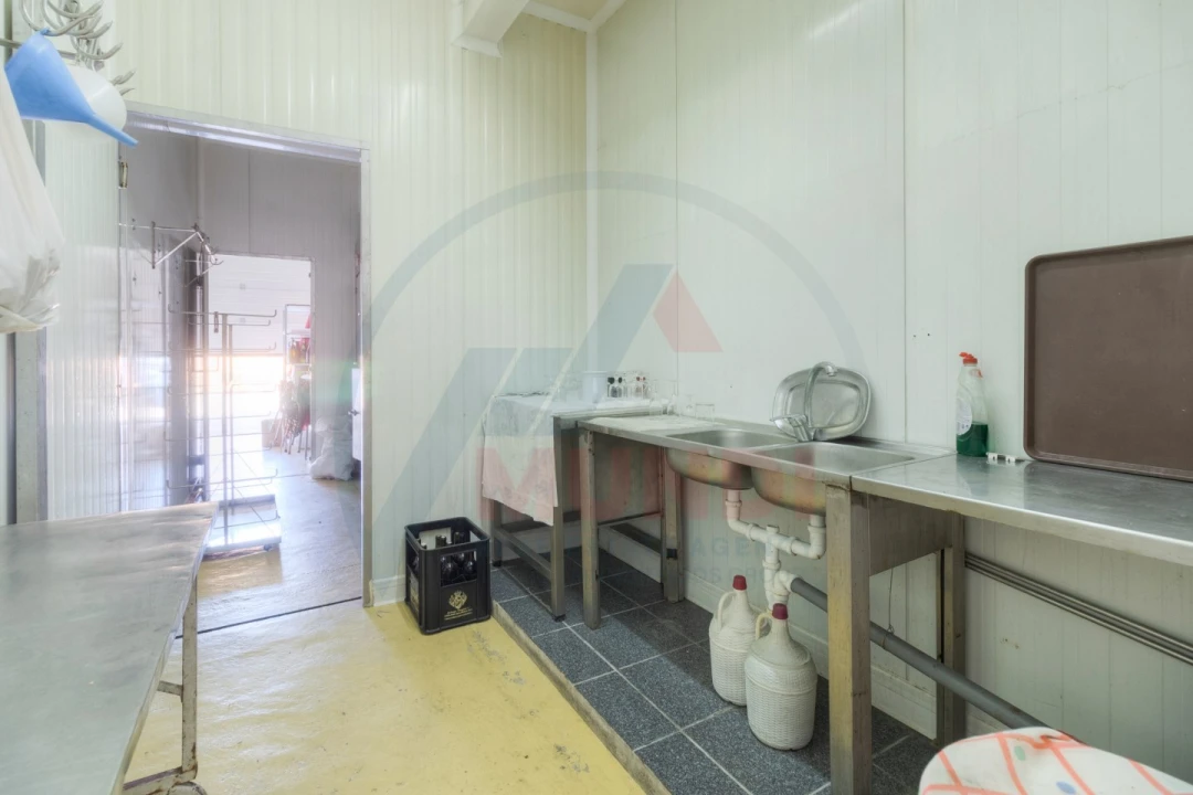 Negócio para Venda em Seixo Foto 10