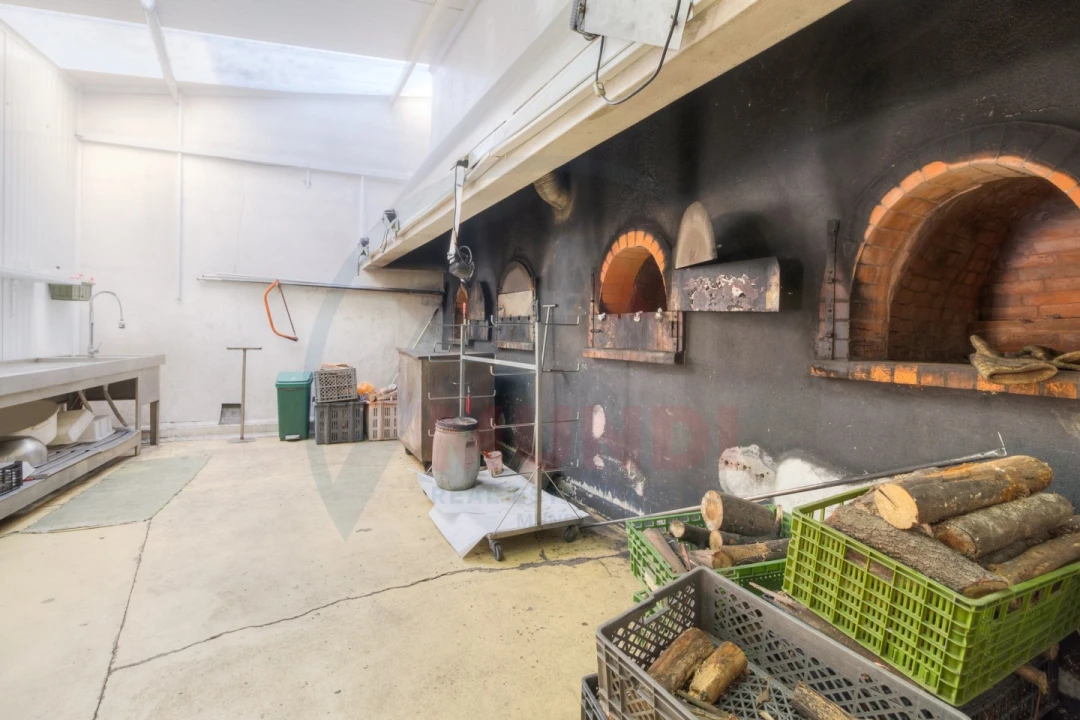 Negócio para Venda em Seixo Foto 12