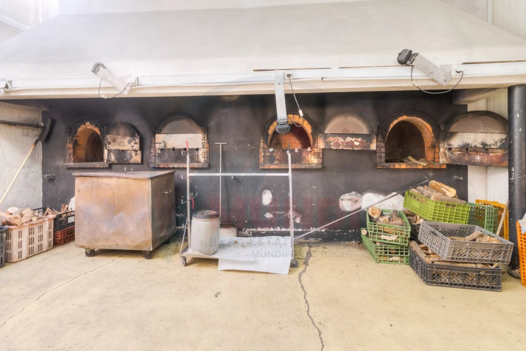 Negócio para Venda em Seixo Foto 13