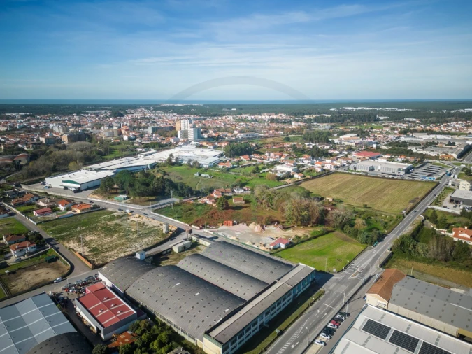 Terreno Comércio / Armazém para Venda em Ovar, São João, Arada e São Vicente de Pereira Jusã Foto 6
