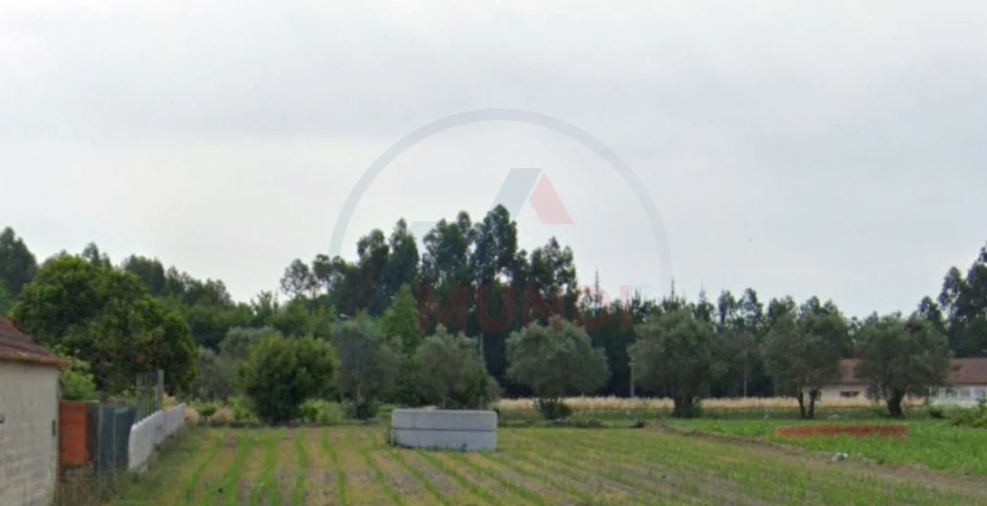 Terreno para Venda em Covões e Camarneira Foto 1