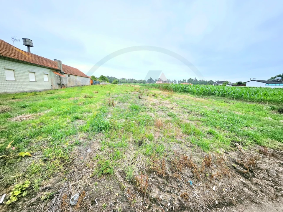 Terreno para Venda em Covões e Camarneira Foto 5