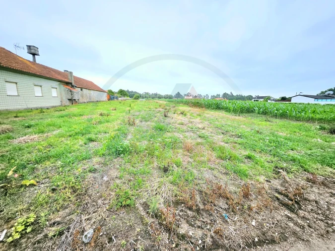 Terreno para Venda em Covões e Camarneira Foto 5