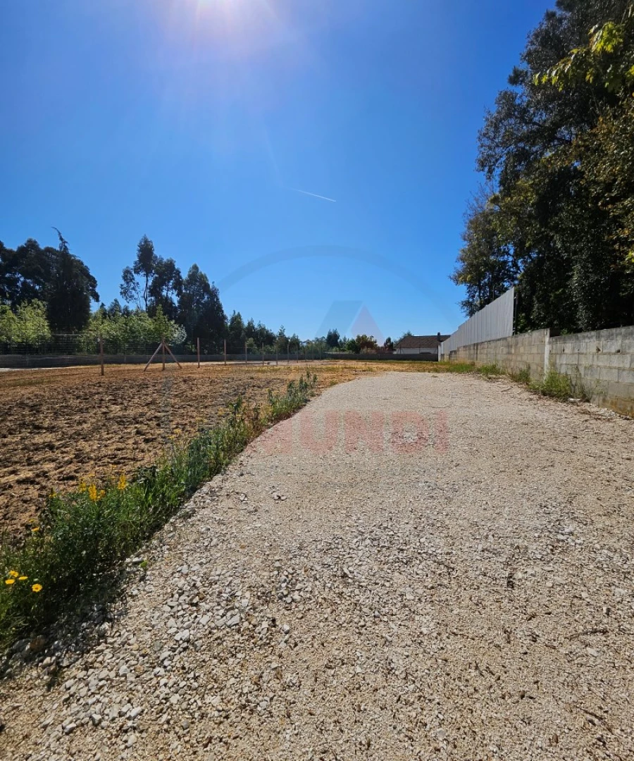 Moradia T3 para Venda em Arcos e Mogofores Foto 36