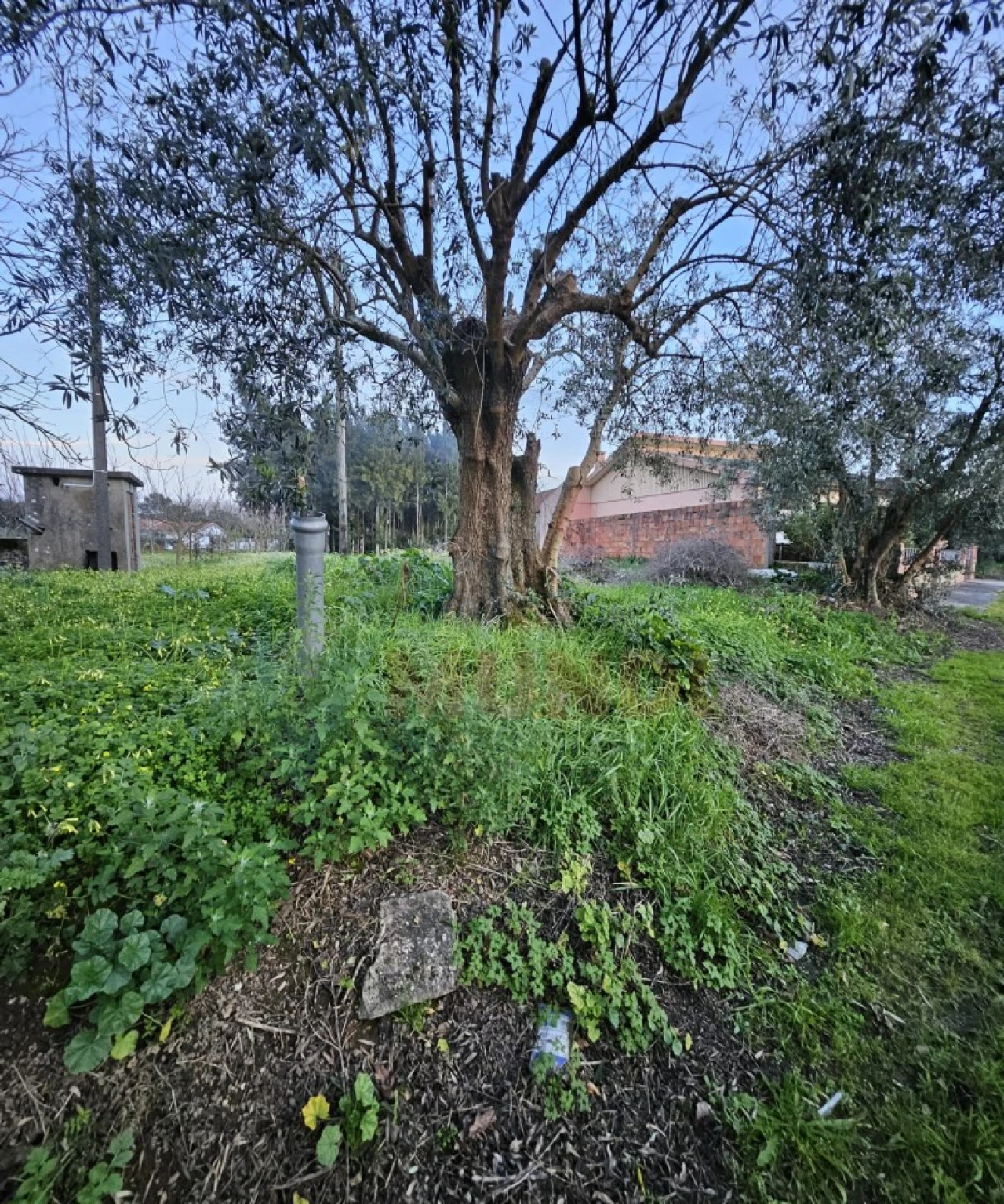 Terreno para Venda em Vilarinho do Bairro Foto 2