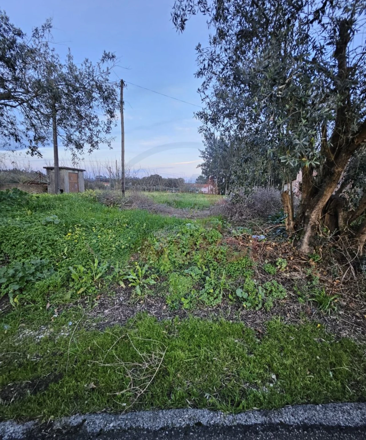Terreno para Venda em Vilarinho do Bairro Foto 3