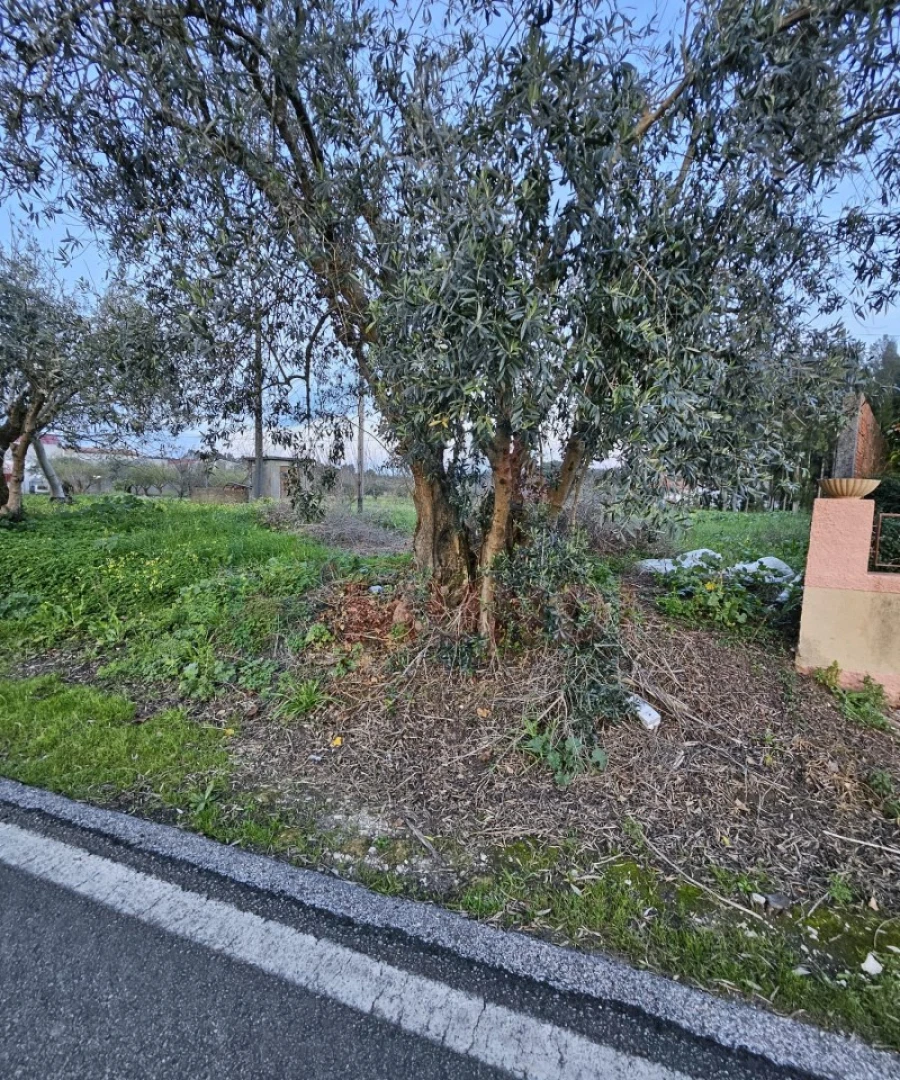 Terreno para Venda em Vilarinho do Bairro Foto 1