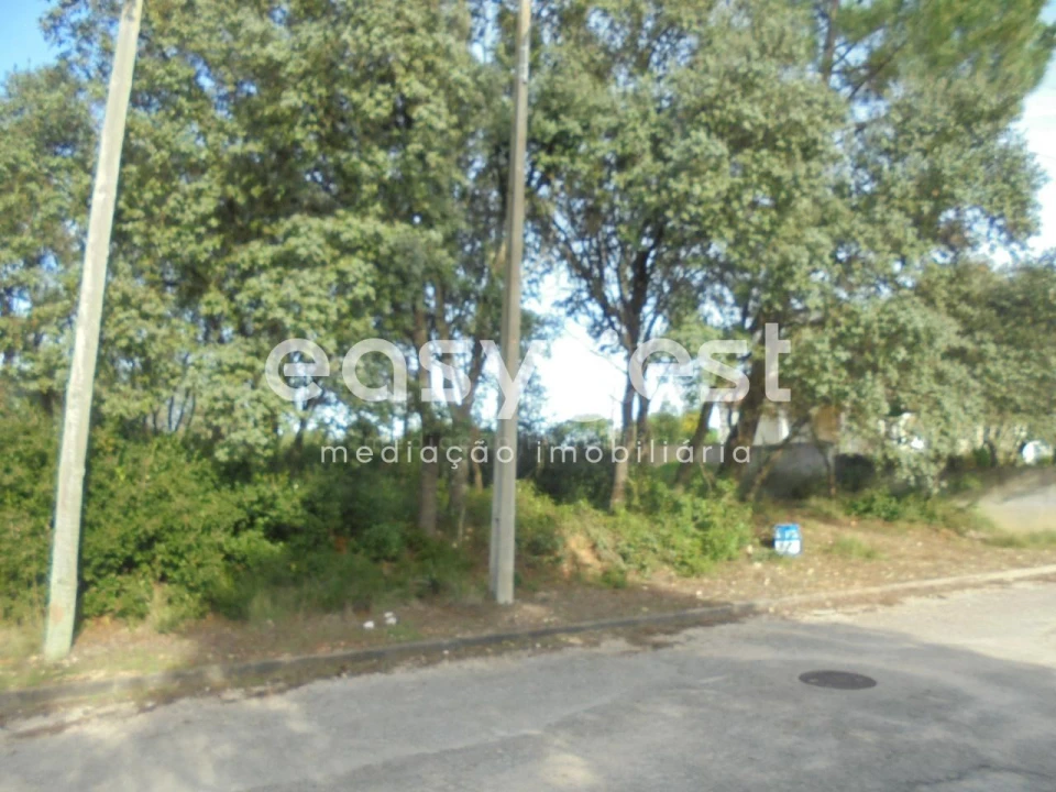 Terreno para Venda em Casais e Alviobeira Foto 3