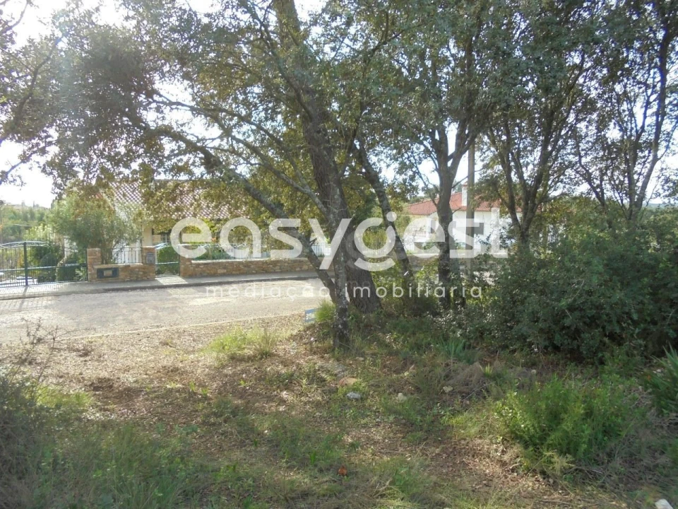 Terreno para Venda em Casais e Alviobeira Foto 4