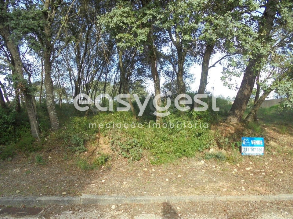 Terreno para Venda em Casais e Alviobeira Foto 5