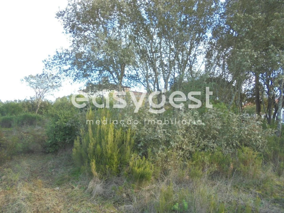 Terreno para Venda em Casais e Alviobeira Foto 6