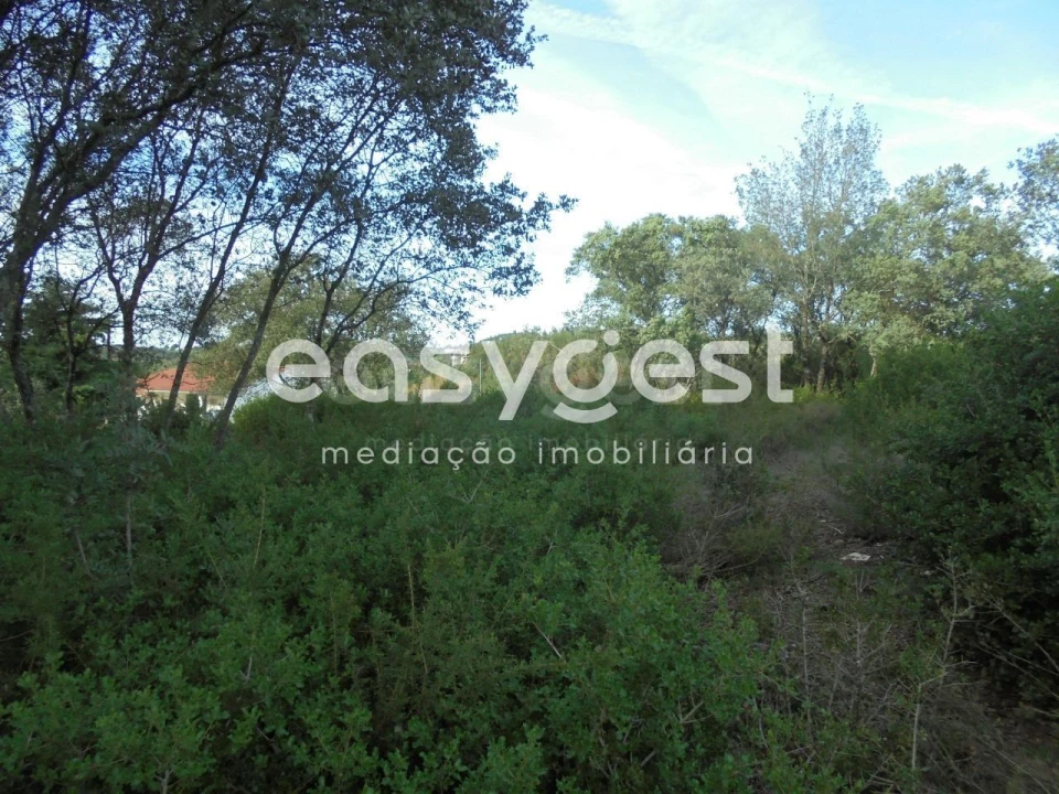 Terreno para Venda em Casais e Alviobeira Foto 7