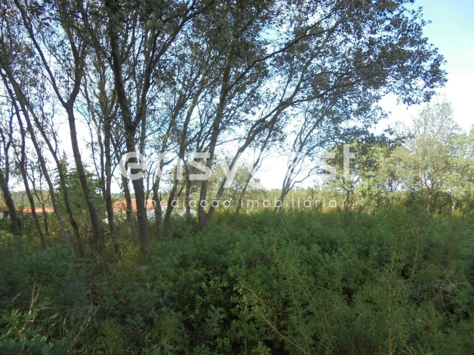 Terreno para Venda em Casais e Alviobeira Foto 9