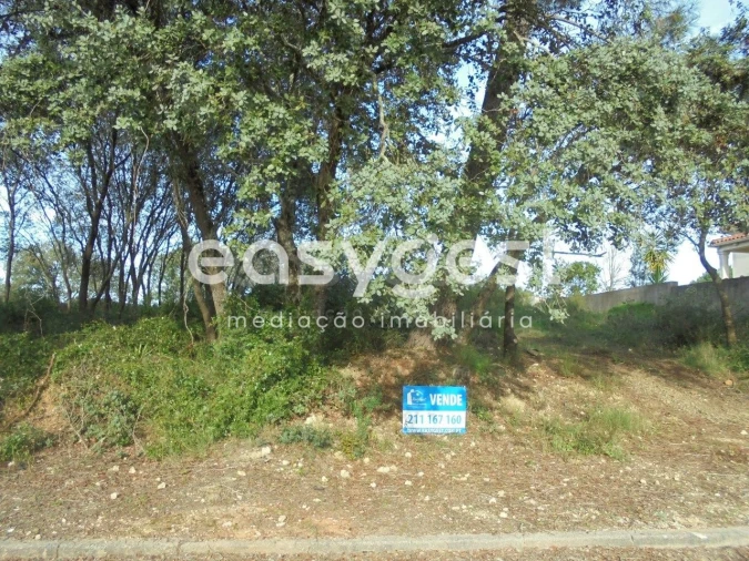 Terreno para Venda em Casais e Alviobeira Foto 1