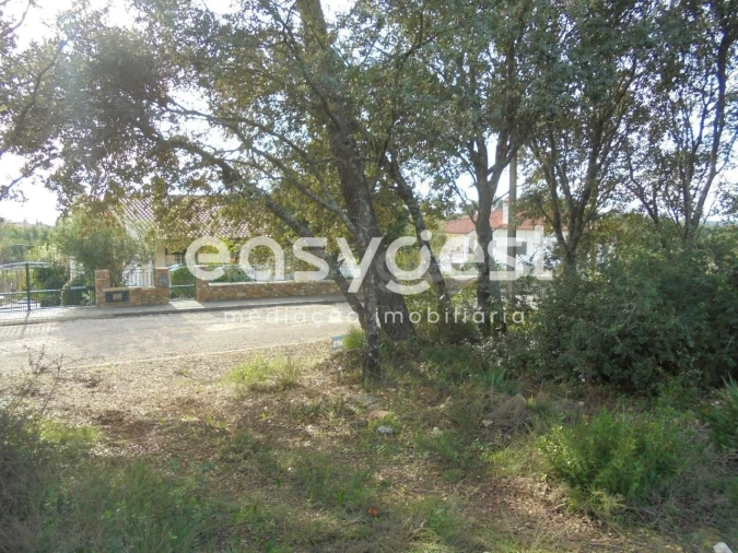Terreno para Venda em Casais e Alviobeira Foto 4