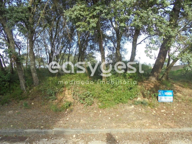 Terreno para Venda em Casais e Alviobeira Foto 5
