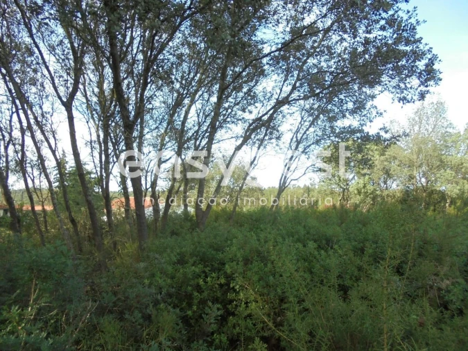 Terreno para Venda em Casais e Alviobeira Foto 9