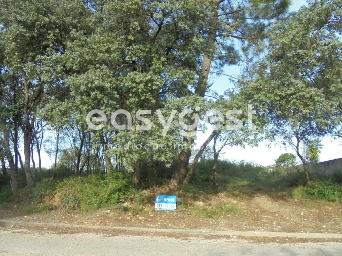 Terreno para Venda em Casais e Alviobeira Foto 10