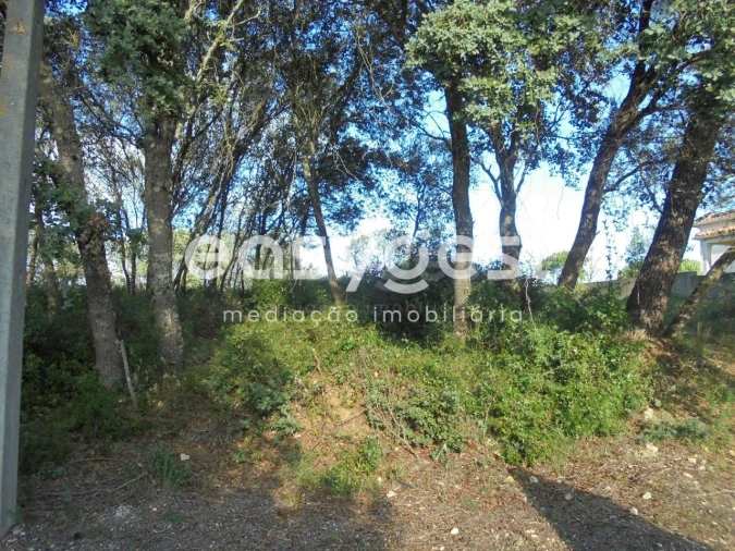 Terreno para Venda em Casais e Alviobeira Foto 11