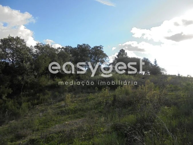 Terreno para Venda em Casais e Alviobeira Foto 12