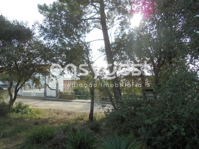 Terreno para Venda em Casais e Alviobeira Foto 13