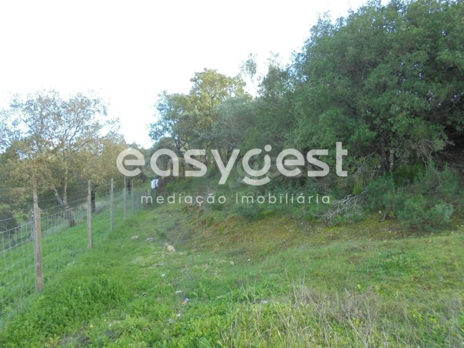 Terreno para Venda em Casais e Alviobeira Foto 15