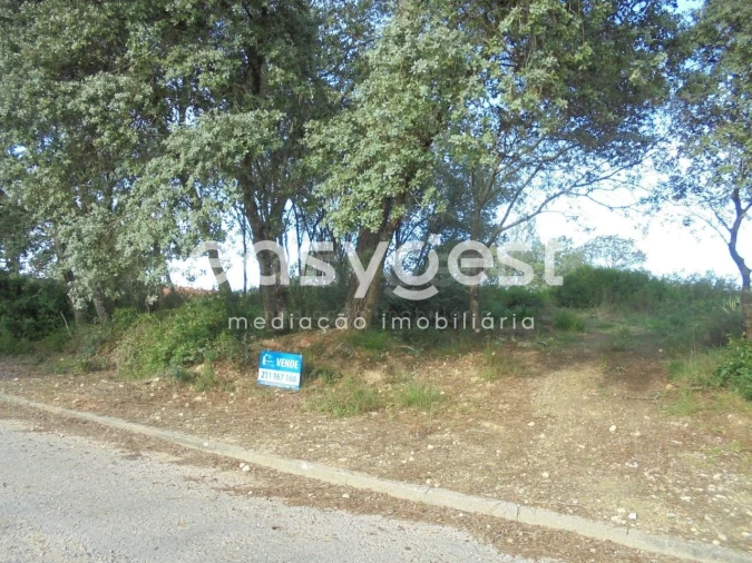 Terreno para Venda em Casais e Alviobeira Foto 16