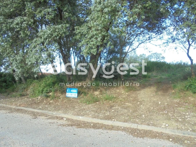 Terreno para Venda em Casais e Alviobeira Foto 17