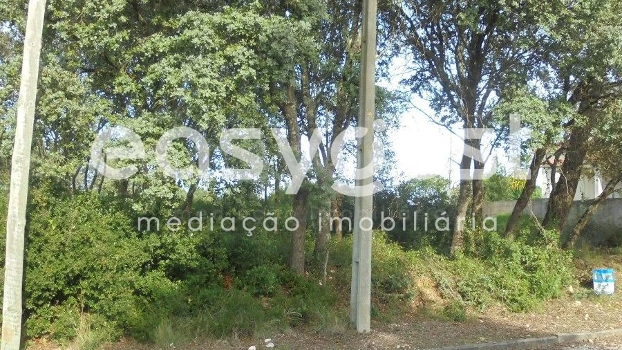 Imagem imóvel