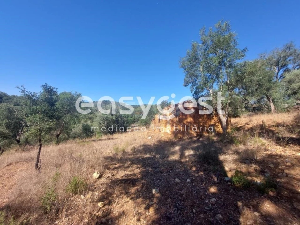 Quinta T3 para Venda em Reliquias Foto 3