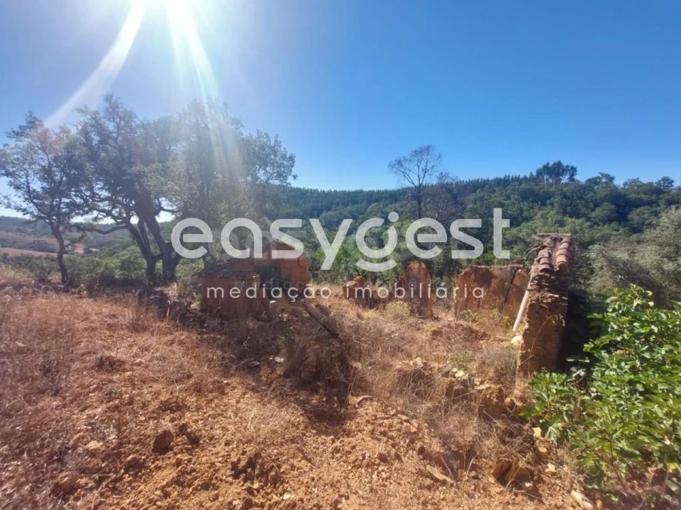 Quinta T3 para Venda em Reliquias Foto 6