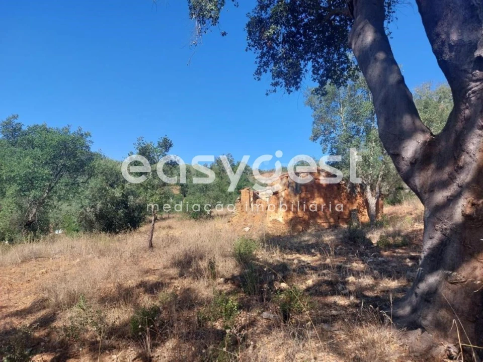 Quinta T3 para Venda em Reliquias Foto 9