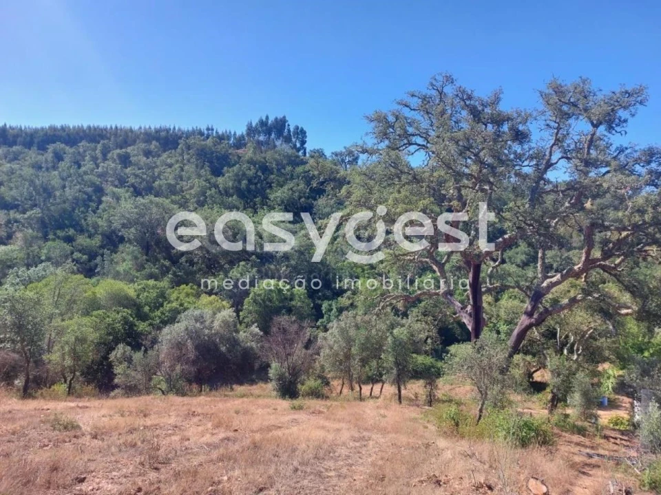 Quinta T3 para Venda em Reliquias Foto 11