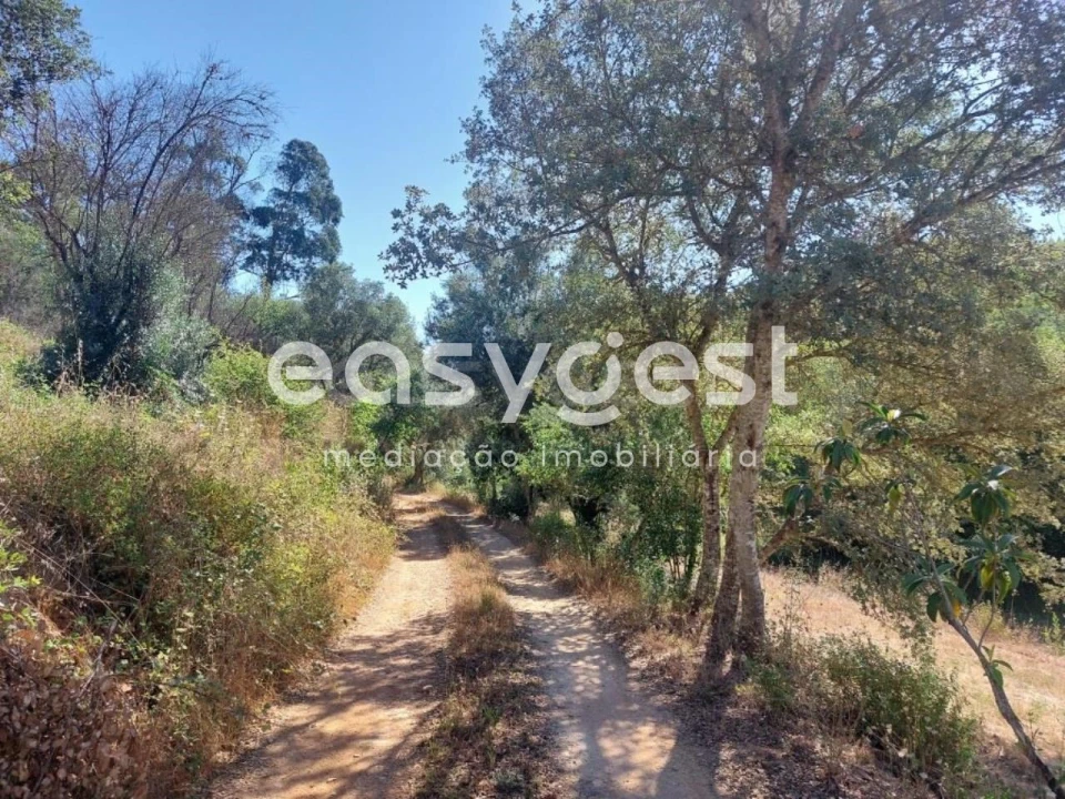 Quinta T3 para Venda em Reliquias Foto 12