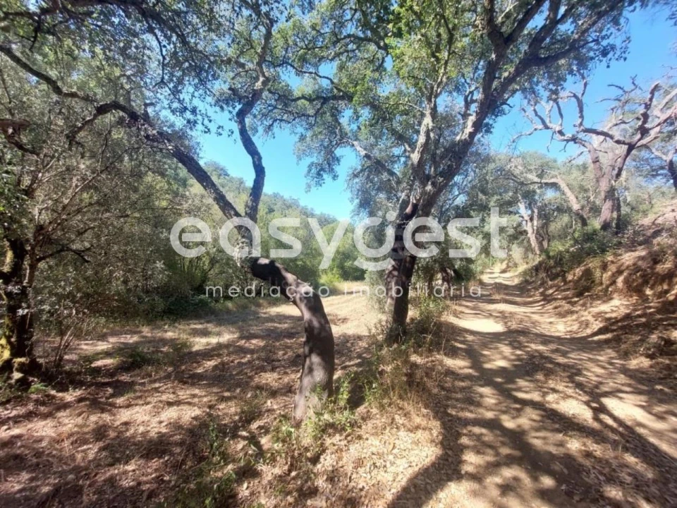 Quinta T3 para Venda em Reliquias Foto 18