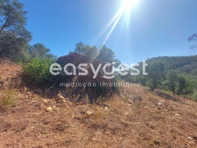 Quinta T3 para Venda em Reliquias