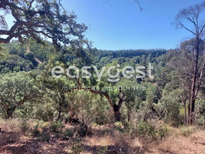 Quinta T3 para Venda em Reliquias Foto 4