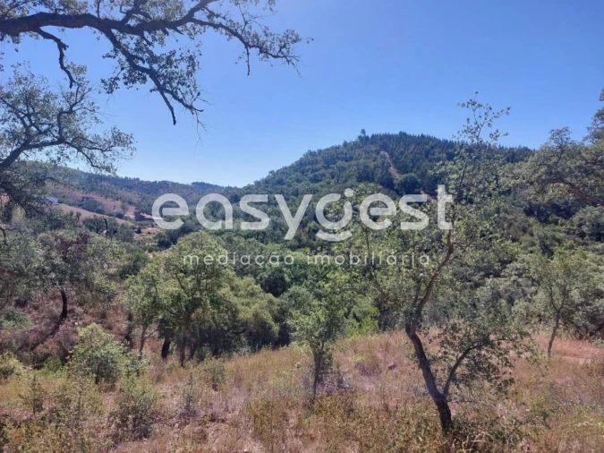 Quinta T3 para Venda em Reliquias Foto 7