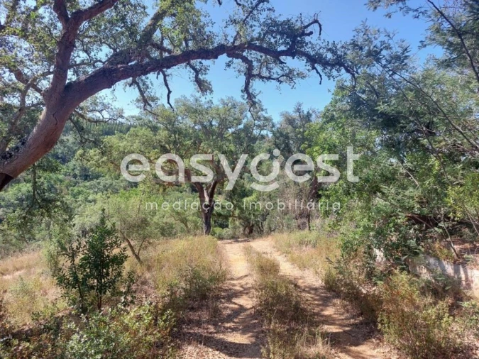 Quinta T3 para Venda em Reliquias Foto 10