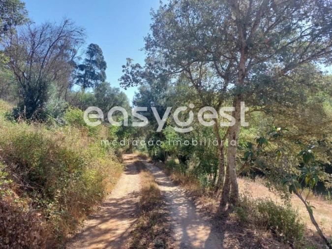 Quinta T3 para Venda em Reliquias Foto 12