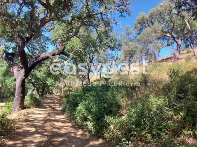 Quinta T3 para Venda em Reliquias Foto 16