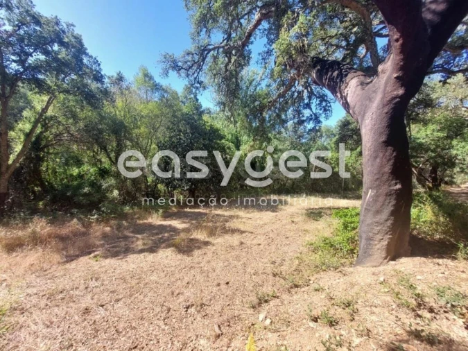 Quinta T3 para Venda em Reliquias Foto 17