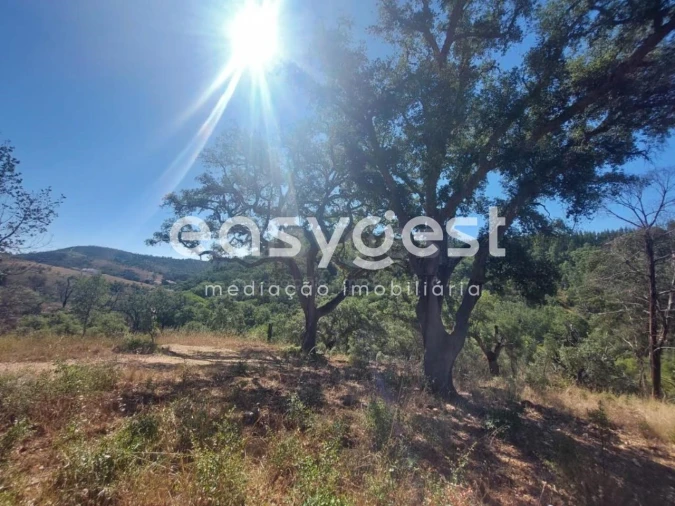 Quinta T3 para Venda em Reliquias Foto 19