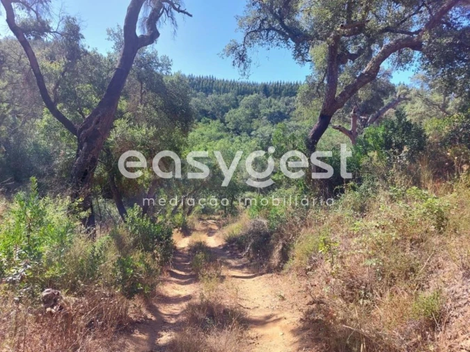 Quinta T3 para Venda em Reliquias Foto 21