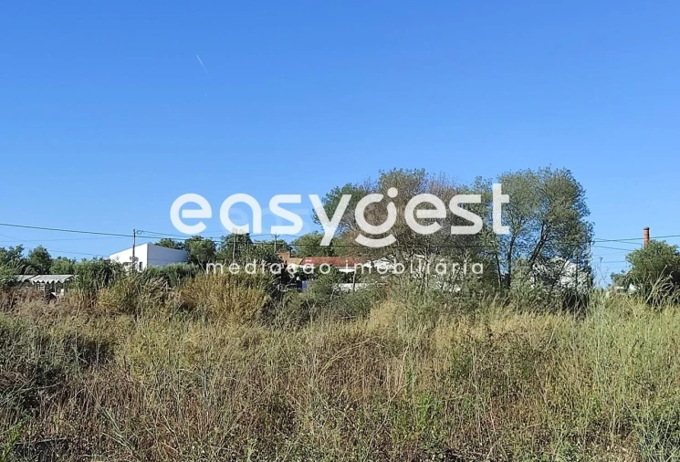 Terreno para Venda em Marvila, Ribeira Santarém, São Salvador, São Nicolau Foto 6